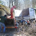élagage arbres yvelines (78)